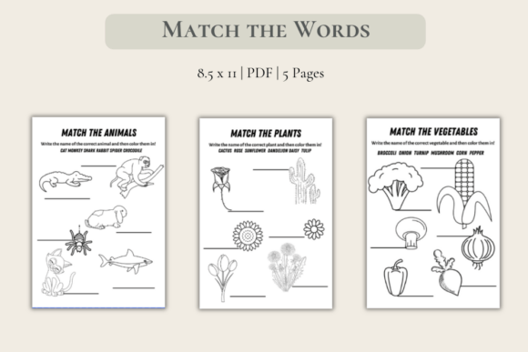 Evaluating Match the Words to Pictures Package X 5 for Educational and Commercial Use